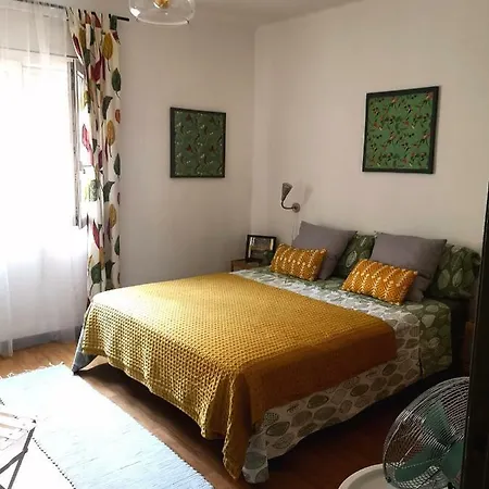 Apartment Green Line *